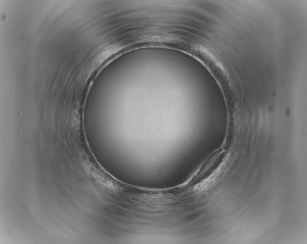 X0000088741025200706141658