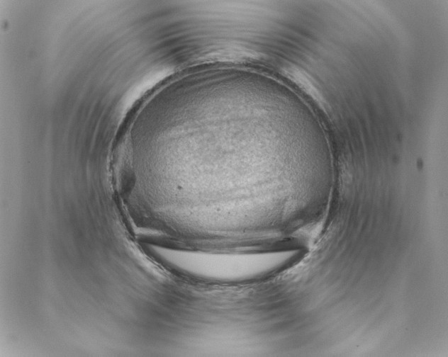 X0000088741026200706141658