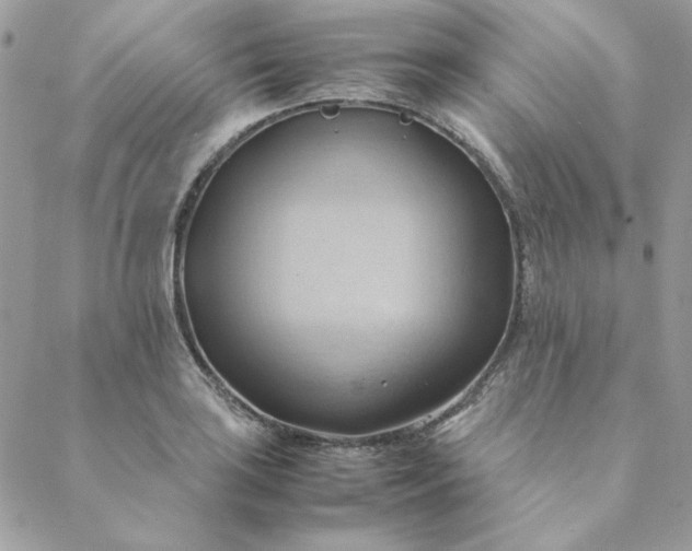 X0000088741035200706141658