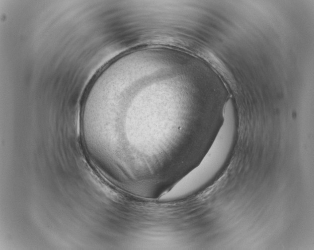 X0000088741036200706141658