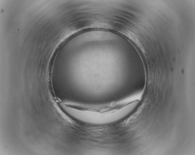 X0000088741037200706141658
