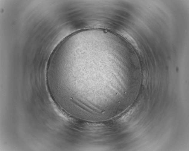X0000088741039200706141658