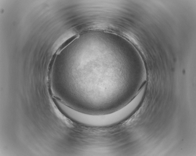 X0000088741042200706141658