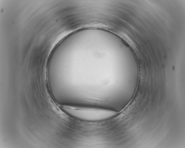 X0000088741044200706141658