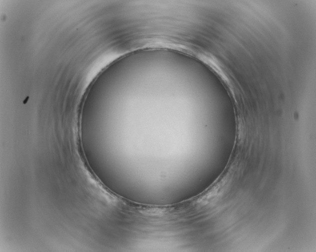 X0000088741048200706141658