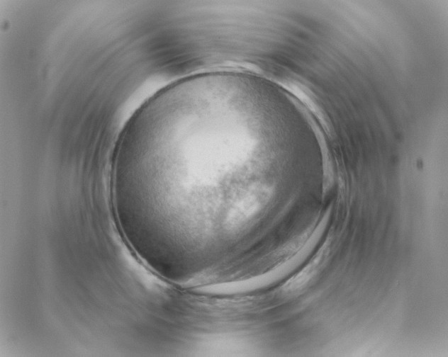 X0000088741054200706141658