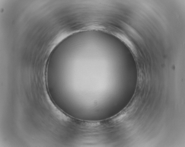 X0000088741055200706141658