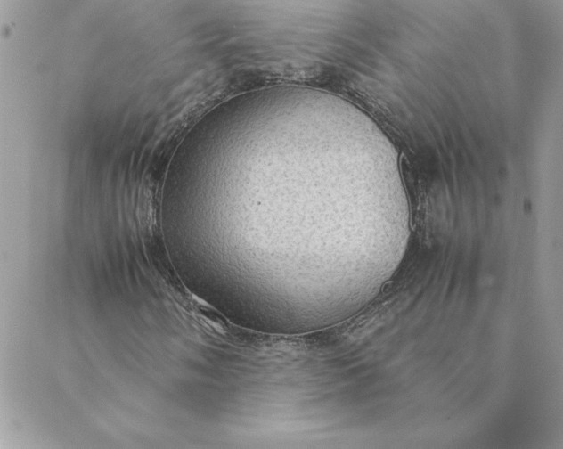 X0000088741058200706141657