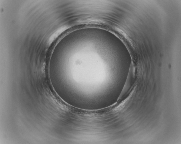 X0000088741066200706141657