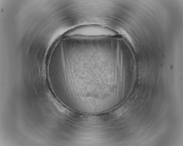 X0000088741072200706141657