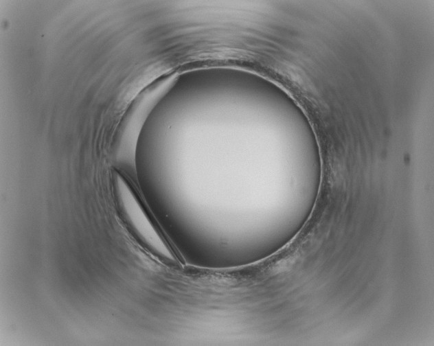 X0000088741073200706141657