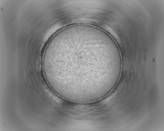 X0000088741075200706141657