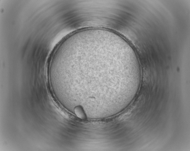 X0000088741078200706141657