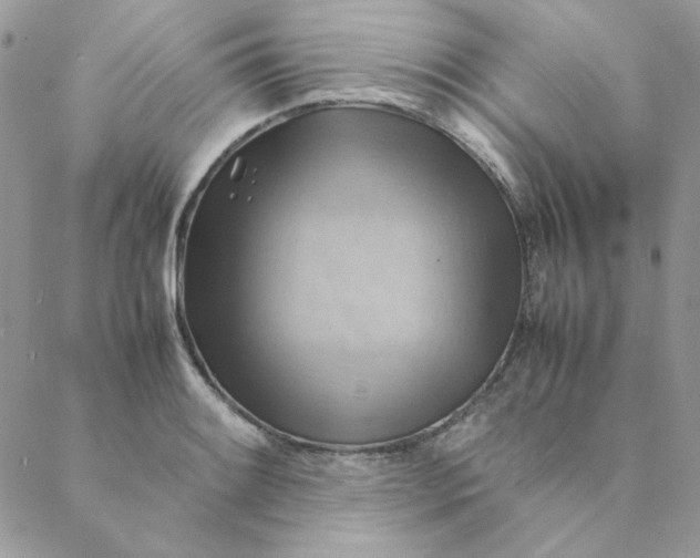 X0000088741084200706141657