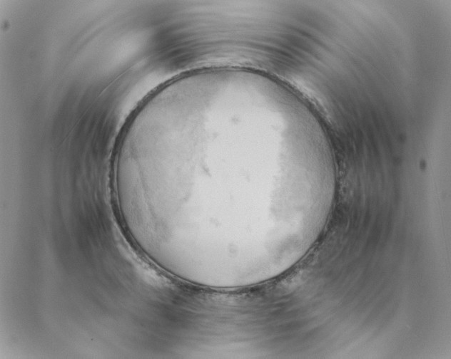X0000088741086200706141657