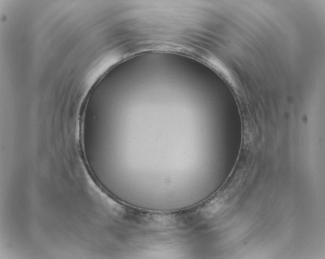 X0000088741095200706141657