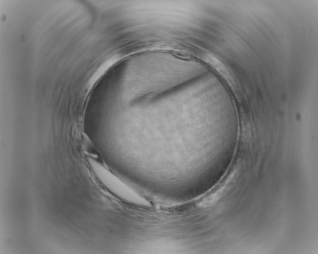 X0000088741097200706141657