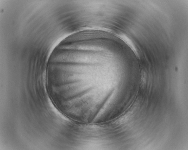 X0000088741100200706141657