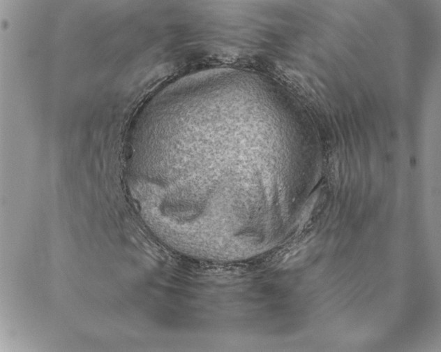 X0000088741105200706141656
