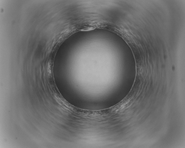 X0000088741106200706141656