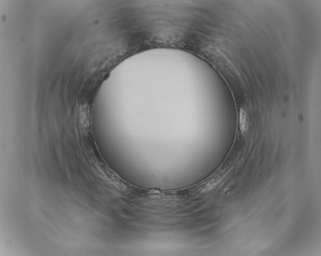 X0000088741107200706141656