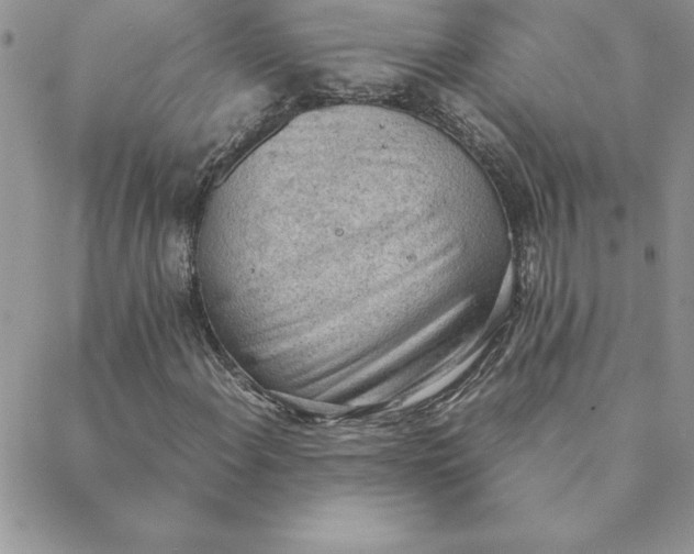X0000088741108200706141656
