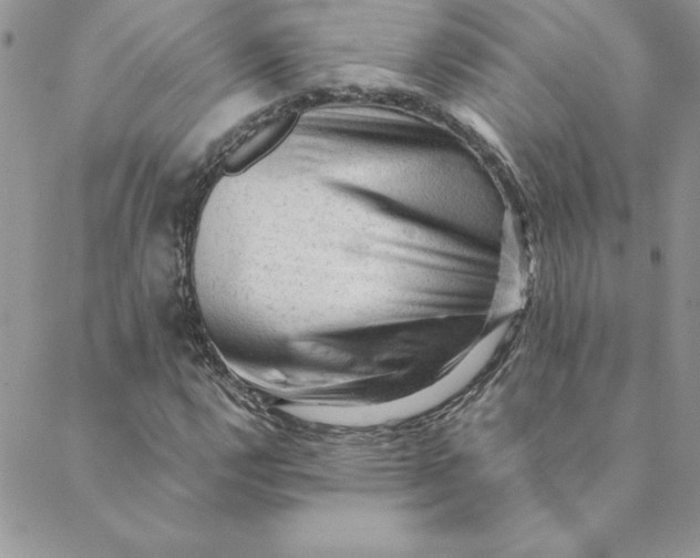 X0000088741112200706141656
