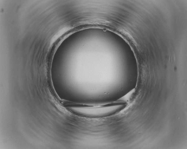 X0000088741114200706141656