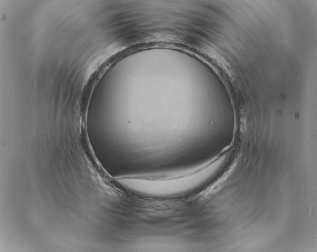 X0000088741117200706141656