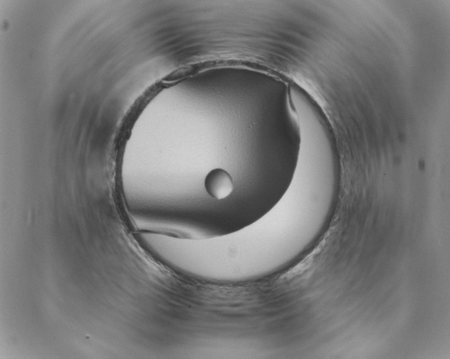 X0000088741119200706141656
