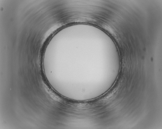 X0000088741122200706141656