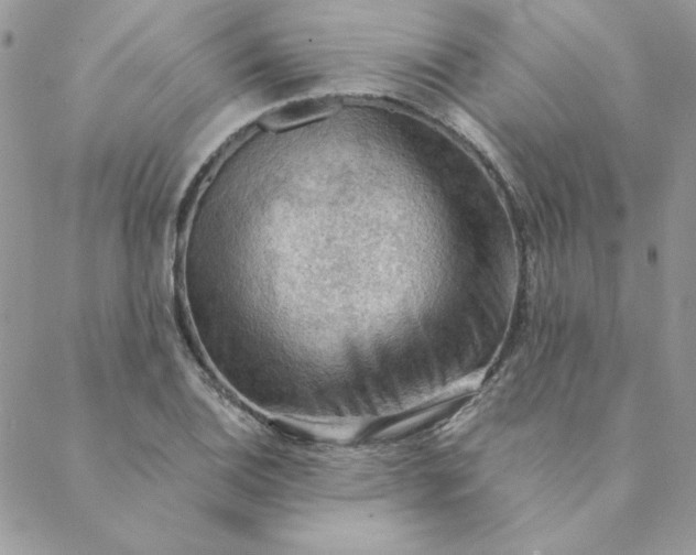 X0000088741124200706141656