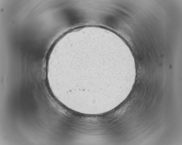 X0000088741126200706141656