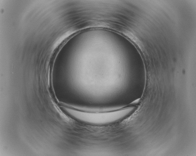 X0000088741127200706141656