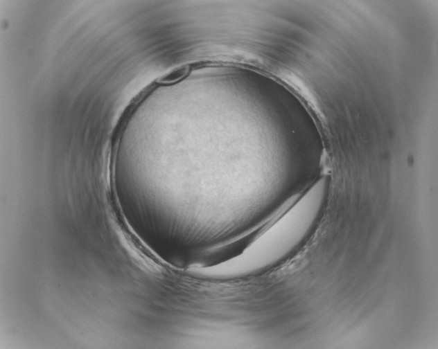 X0000088741128200706141656
