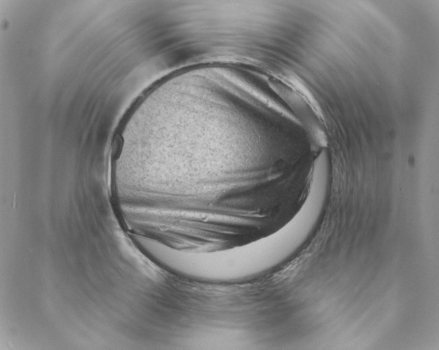 X0000088741132200706141656