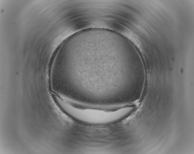 X0000088741133200706141656