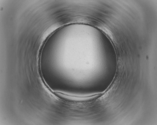 X0000088741135200706141656