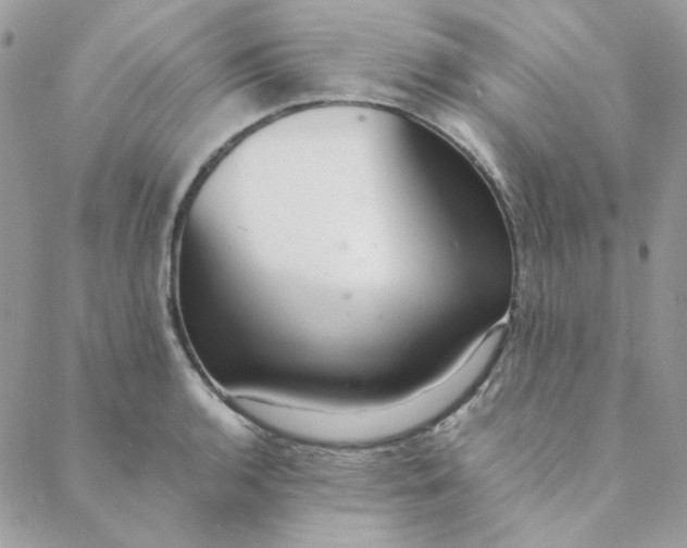 X0000088741136200706141656