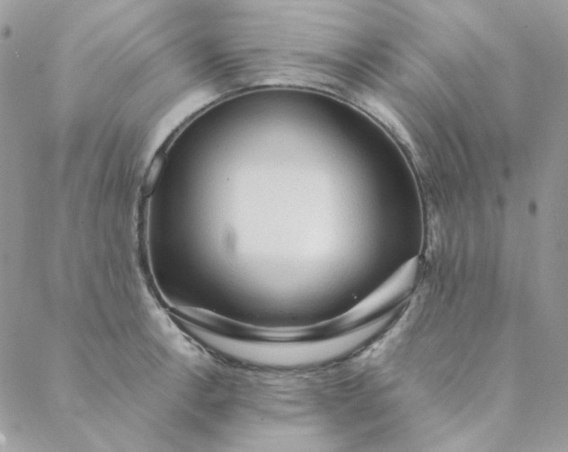 X0000088741138200706141656