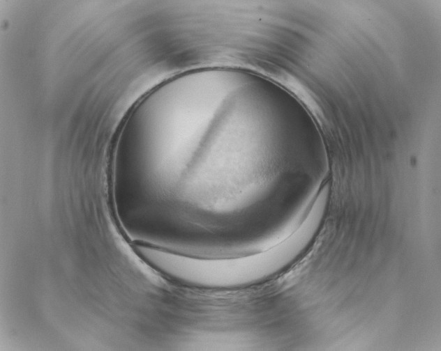 X0000088741142200706141657