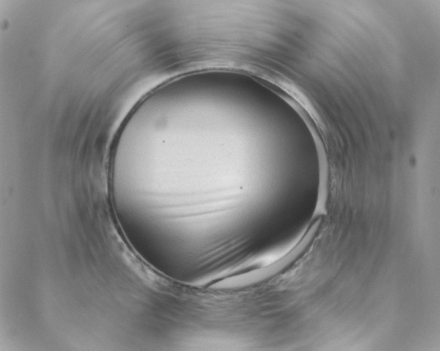 X0000088741148200706141657