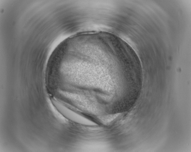 X0000088741152200706141657