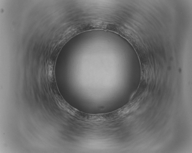 X0000088741154200706141656