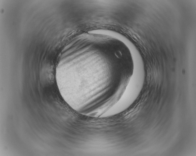X0000088741156200706141656