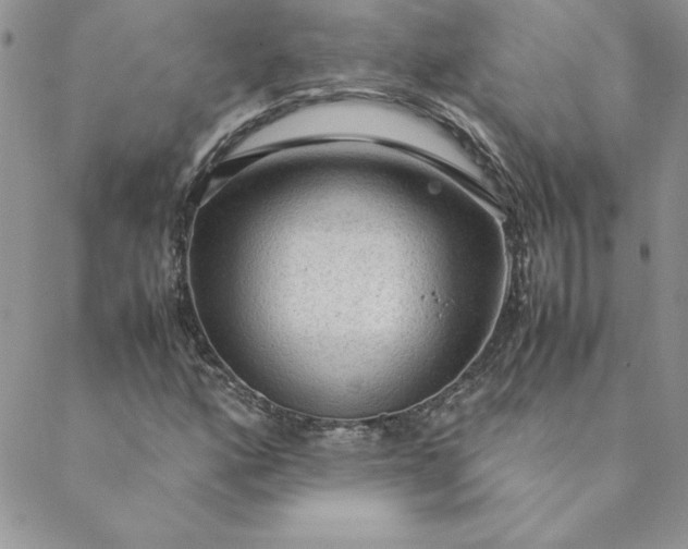 X0000088741160200706141656