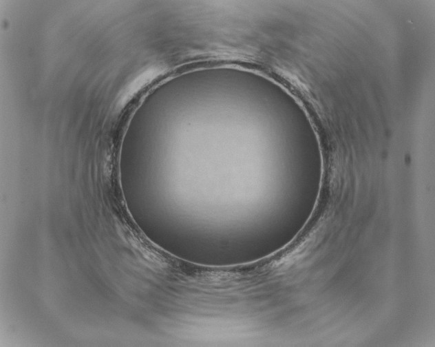 X0000088741163200706141656