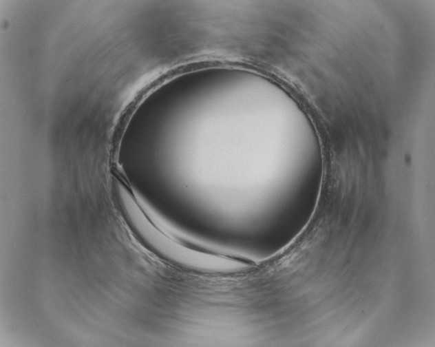 X0000088741168200706141656
