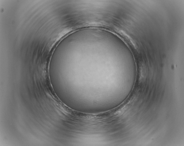 X0000088741170200706141656