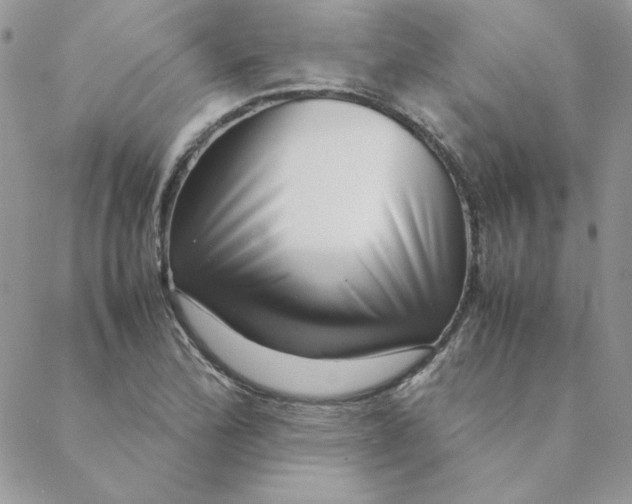 X0000088741172200706141656